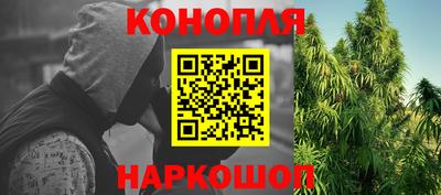 spice Кинель