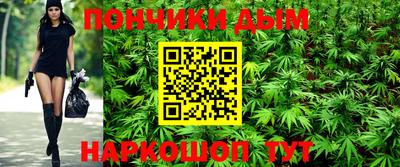 spice Кинель