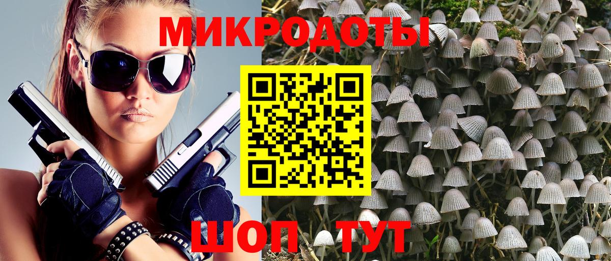 купить наркотики сайты  Галлюциногенные грибы MAGIC MUSHROOMS  Псилоцибиновые грибы Magic Shrooms  Вход с VPN  Ставрополь 