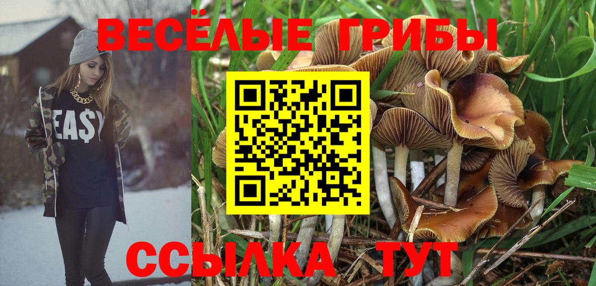 Псилоцибиновые грибы GOLDEN TEACHER Ставрополь